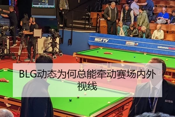 BLG动态为何总能牵动赛场内外视线